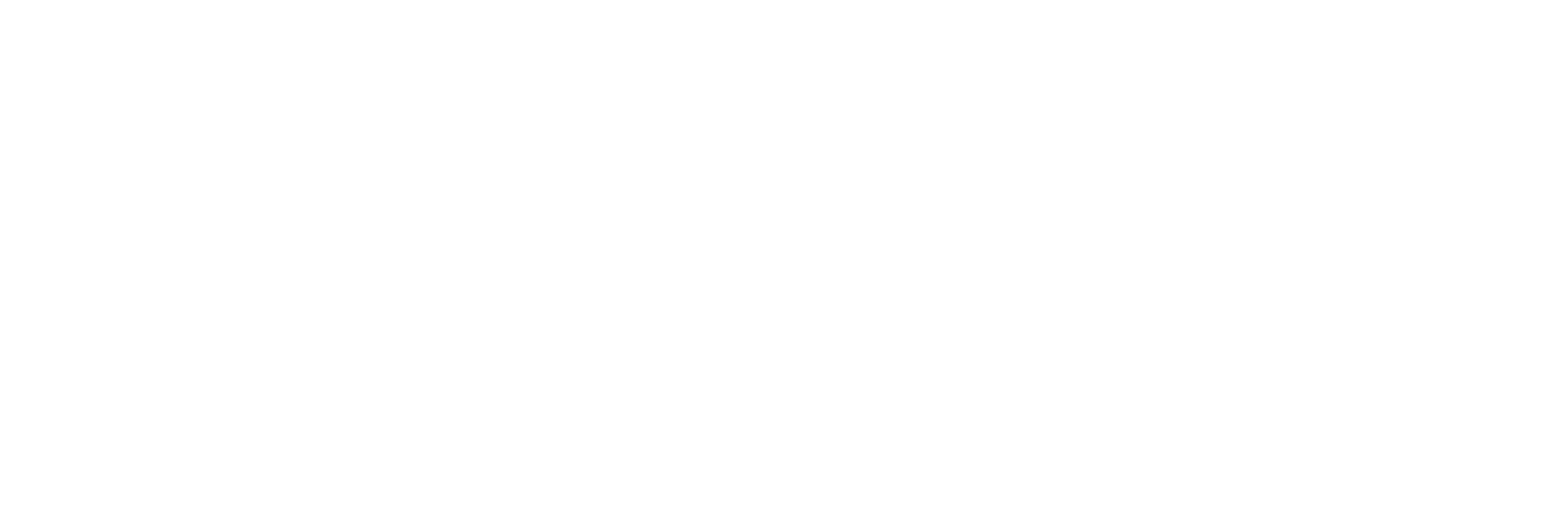 Tick Virtual PA Logo.